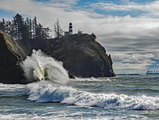 Find the Secret Perils Prowling in Your Ordinary Food varieties Find the Secret Perils Prowling in Your Ordinary Food varieties